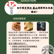 牙買加 藍山
